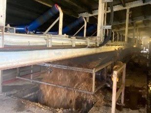 conveyor where compost falls on overhead filler