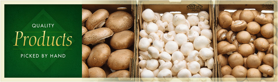 variety of organic mushrooms in boxes